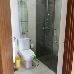 La Fleur (D14), Apartment #540107691